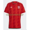 Original Fußballtrikot Wales Heimtrikot WM 2022 Für Herren